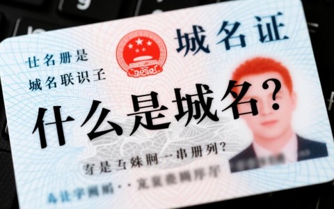 注册域名是否真的必须提供身份证信息？不同平台要求有差异吗？