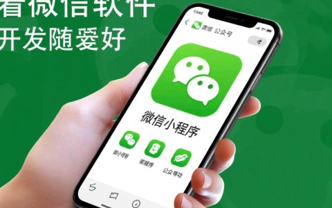 邢台微信软件开发，如何选择最优质的服务商？哪家口碑与实力兼备？