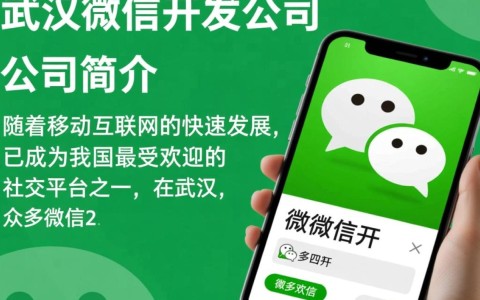 武汉微信开发公司领先地位如何？有哪些创新技术突破？