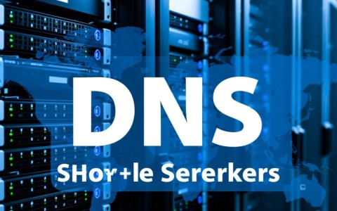 在何处及如何轻松更改我的域名服务器设置？