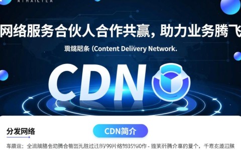 分发网络服务合伙人，如何抓住数字内容分发新机遇？