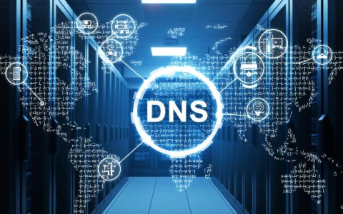 如何正确设置域名服务器，确保网站访问顺畅的详细步骤揭秘？