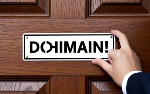 域名所有者具体指什么？在互联网世界中扮演何种角色？