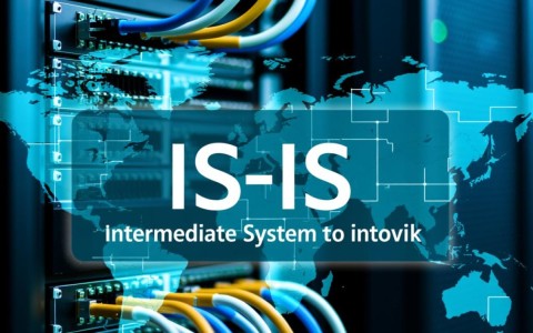 is-is配置为何在网络环境中如此关键？其配置细节及优化方法有哪些？