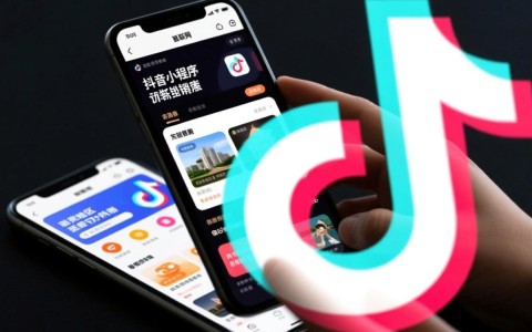 东营抖音小程序电销开发，有何独特优势与挑战？