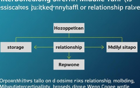 Hibernate中间表配置，如何实现高效关联查询与数据管理？