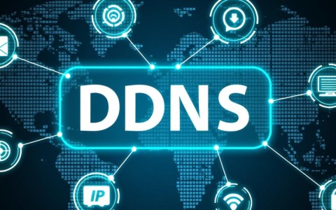 动态域名解析服务哪家更稳定，用户体验如何？