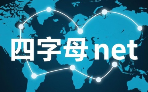 四字母net域名为何如此抢手？揭秘其独特魅力和价值所在？