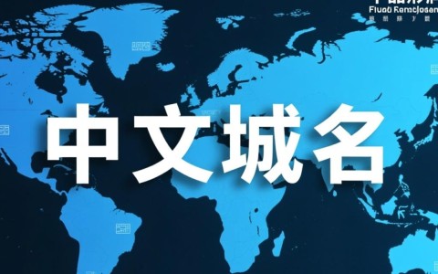 中文域名应用现状，哪些大公司已率先启用？