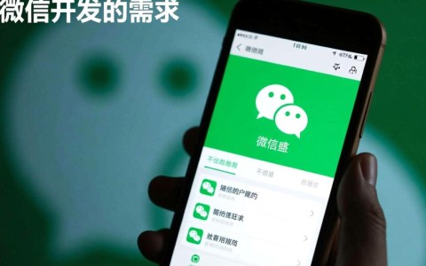 宝鸡微信开发网络公司如何选择最专业？揭秘行业秘密与评价标准？