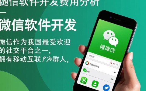 衡水微信软件开发费用多少？性价比高的方案如何选择？