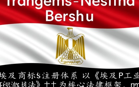 埃及商标注册类目怎么选？哪些类目需重点保护？