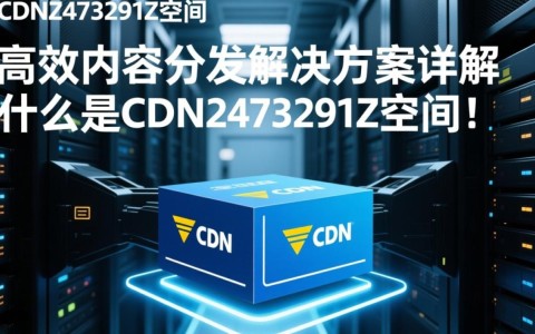 CDN2473291Z空间究竟隐藏了哪些秘密？揭秘其背后的神秘面纱！