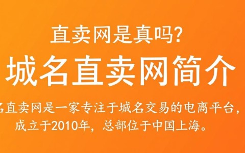 域名直卖网真的可信吗？揭秘其真实性及交易安全性