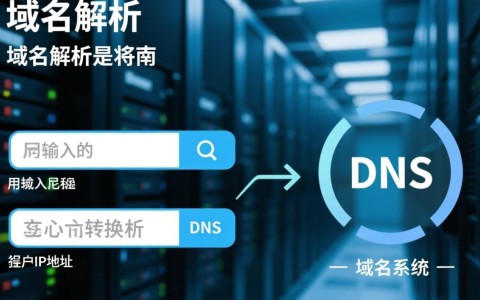 如何正确设置域名解析绑定端口号以优化网站访问速度？