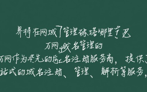 万网域名管理界面缺失？揭秘万网域名管理具体位置之谜！
