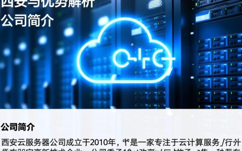 西安云服务器公司哪家强？性价比与稳定性如何抉择？