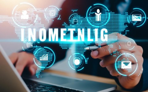 为何域名解析错误导致无法上网？快速排查解决方法大揭秘！