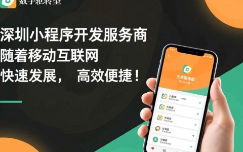 深圳小程序开发服务商哪家服务更优质，性价比更高？