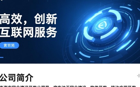 珠海市网站建设开发公司哪家服务更专业，性价比更高？