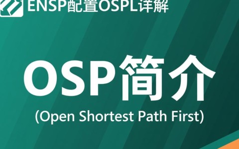ensp配置ospf，如何正确设置和优化ensp中的OSPF协议，提高网络性能？