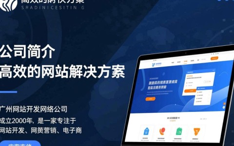 广州网站开发网络公司哪家服务更专业，性价比更高？