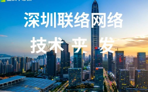 深圳网络技术开发，为何选择www深圳网络技术开发？揭秘优势与实力！