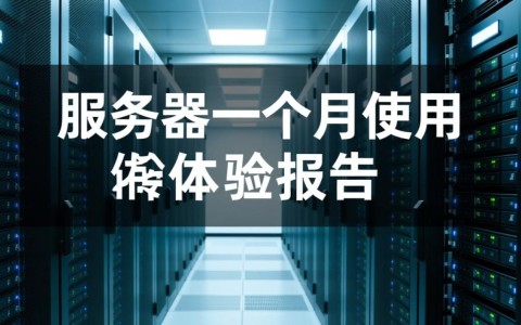 西安服务器一个月租赁，性价比如何？值得推荐吗？