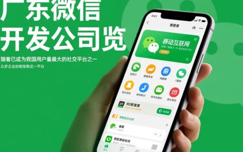 广东微信开发公司众多，哪家技术领先，服务优质？