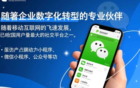 深圳市微信开发公司，如何选择最专业的服务商？