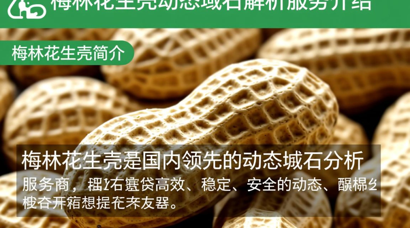 梅林花生壳动态域名究竟有何独特之处，为何备受关注？