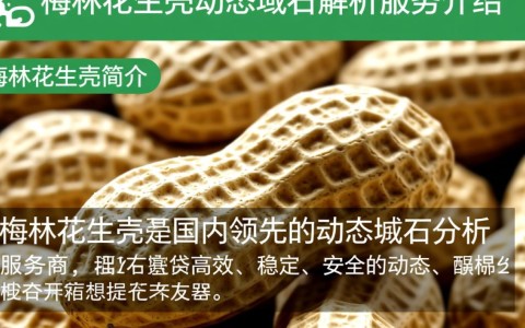 梅林花生壳动态域名究竟有何独特之处，为何备受关注？