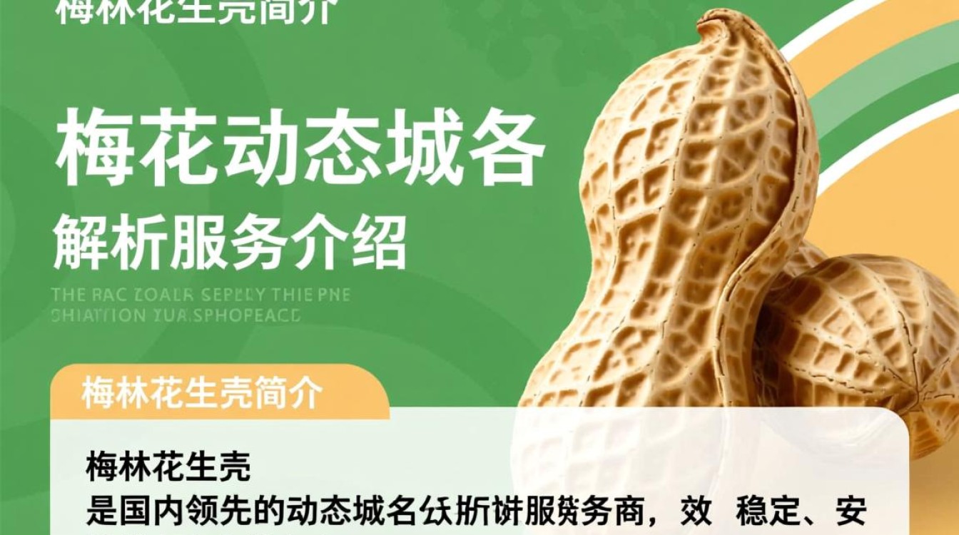 梅林花生壳动态域名究竟有何独特之处，为何备受关注？