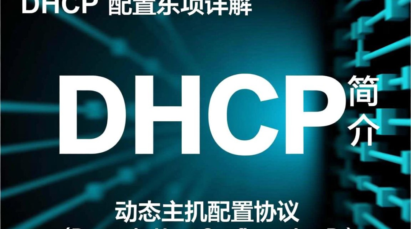DHCP配置选项中，有哪些关键参数和最佳实践需要注意？
