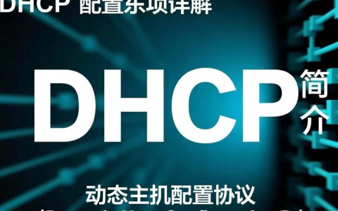 DHCP配置选项中，有哪些关键参数和最佳实践需要注意？