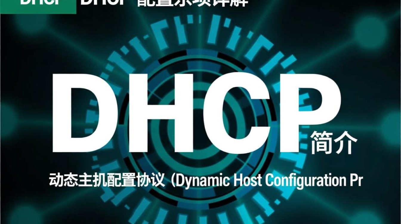 DHCP配置选项中，有哪些关键参数和最佳实践需要注意？