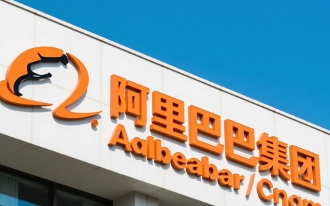 阿里巴巴企业官网域名究竟有何独特之处，为何如此引人关注？