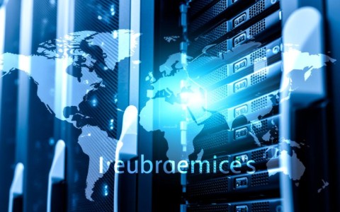 陕西服务器租一年服务如何？性价比高吗？