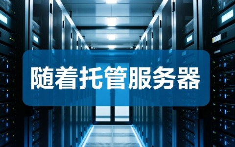 陕西托管服务器，为何选择陕西，性价比与稳定性如何权衡？