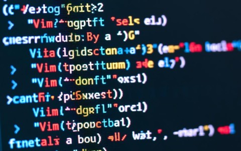 Vim IDE配置有哪些关键步骤和最佳实践？