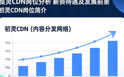 初灵cdn岗位待遇揭秘，薪资水平高吗？福利如何？