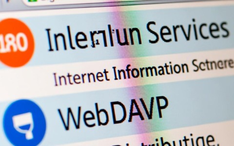 iis配置webdav时遇到问题，如何解决及优化配置细节？