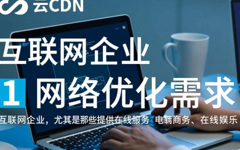 沃云cdn的主要目标客户是?揭秘企业级服务背后的精准定位