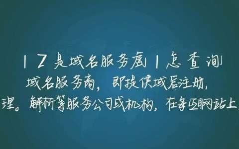 如何高效查询域名服务商信息？专业方法与步骤揭秘！