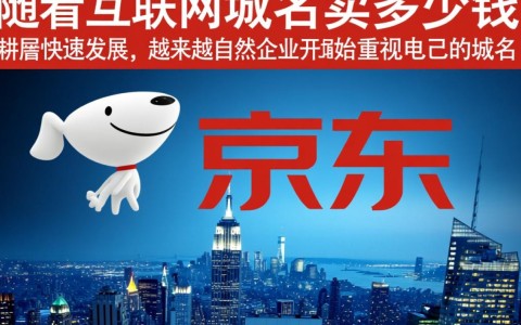 京东域名售价几何？揭秘其市场价值与投资潜力！