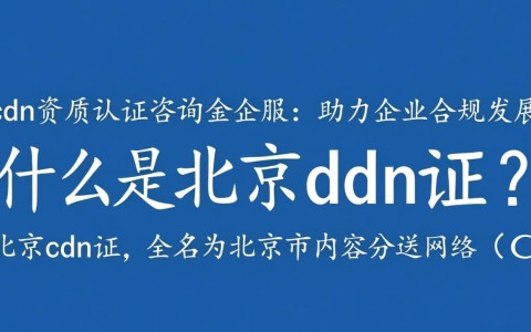 北京cdn证资质认证，金企服咨询，如何确保高效办理？