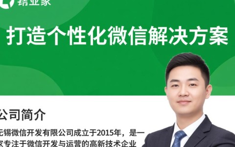 无锡微信开发有限公司的商业模式和服务特点是什么？