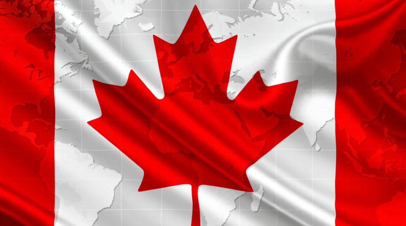 广东加拿大CDN标准品代理商，市场地位与竞争格局如何？