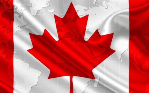 广东加拿大CDN标准品代理商，市场地位与竞争格局如何？