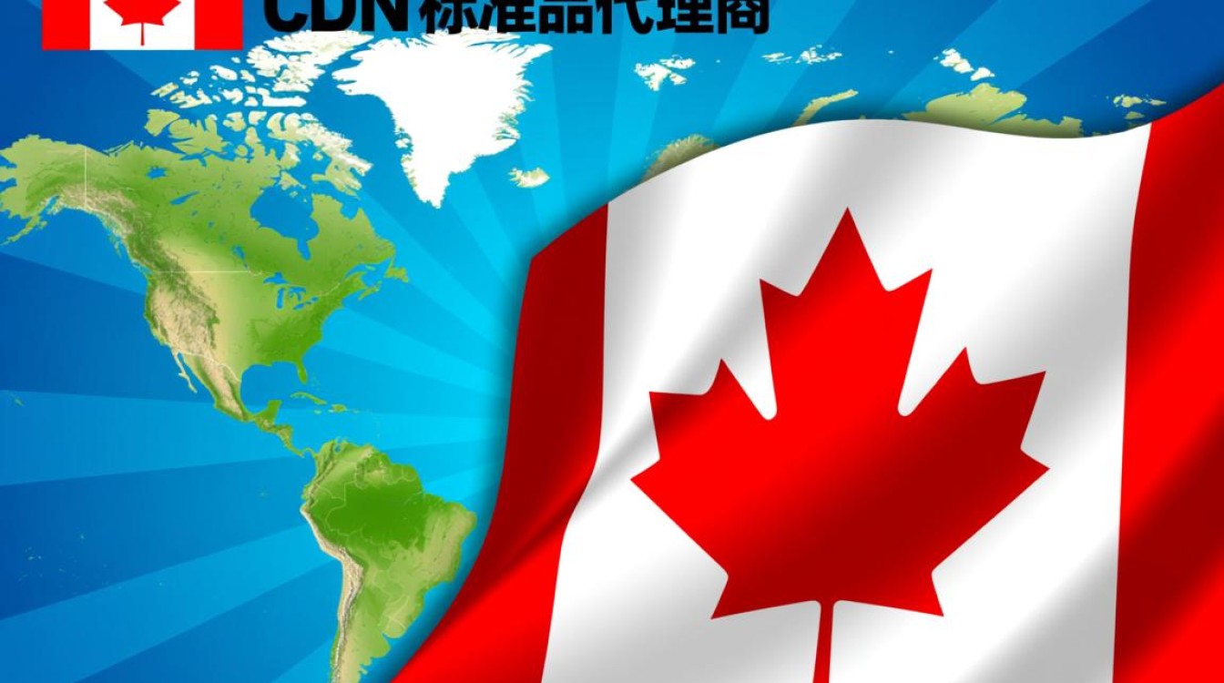 广东加拿大CDN标准品代理商，市场地位与竞争格局如何？